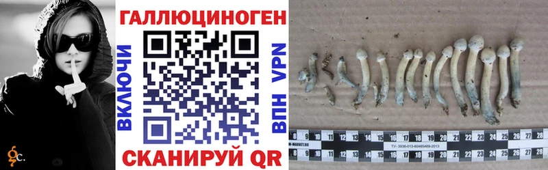 Галлюциногенные грибы Magic Shrooms Усмань